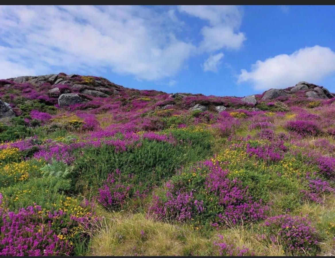 O Meith Mountain House Omeath Near Carlingfordヴィラ エクステリア 写真