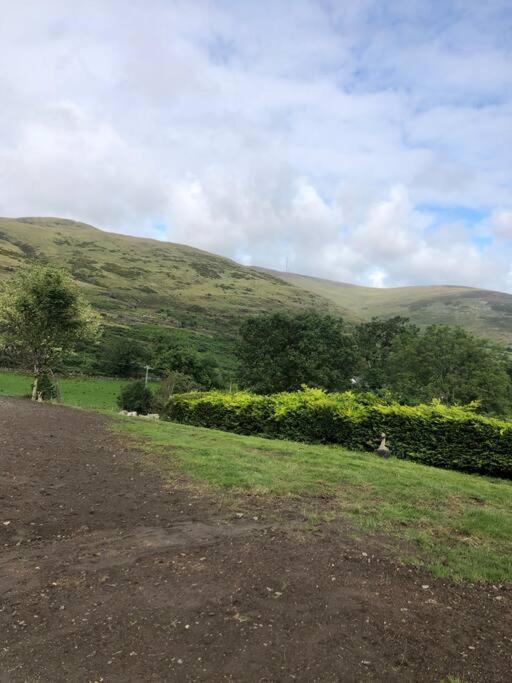 O Meith Mountain House Omeath Near Carlingfordヴィラ エクステリア 写真